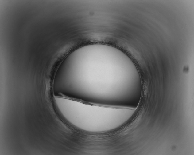 X0000103440637200809121102