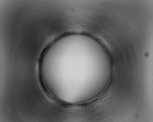 X0000103440638200809121102
