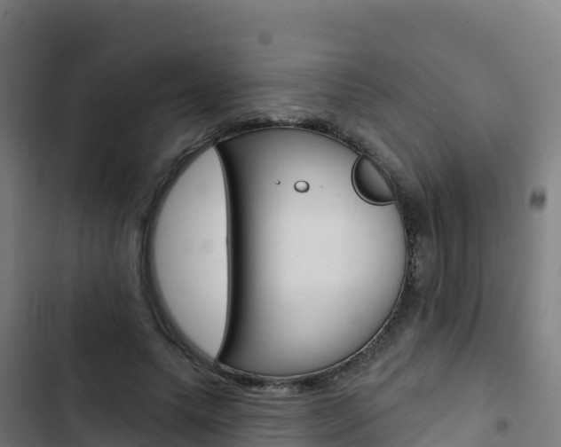 X0000103440639200809121102