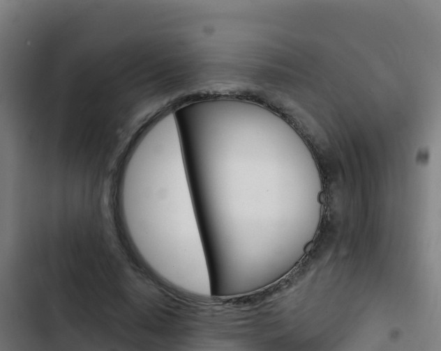 X0000103440640200809121102