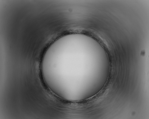 X0000103440641200809121102