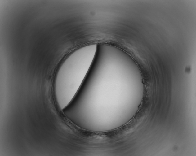 X0000103440642200809121102