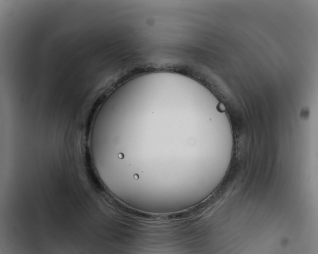 X0000103440644200809121102