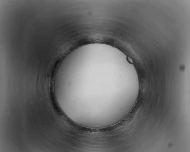 X0000103440645200809121102