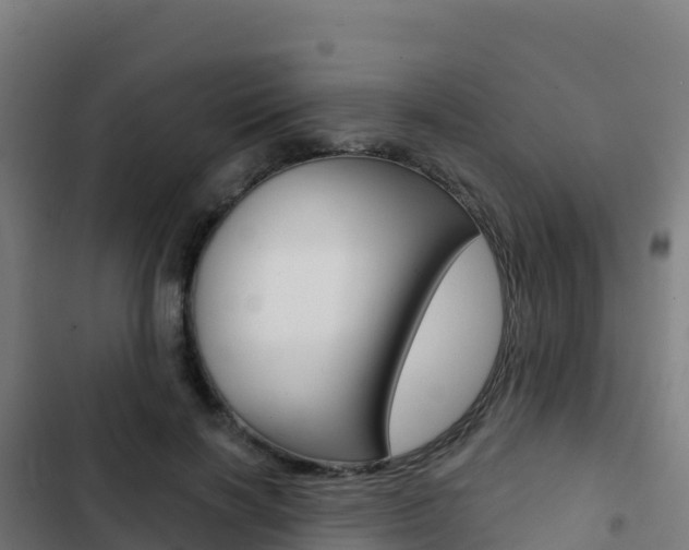 X0000103440646200809121102