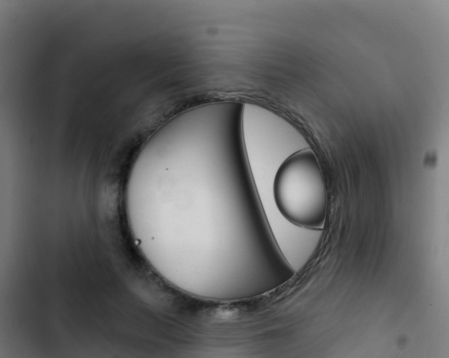 X0000103440647200809121102