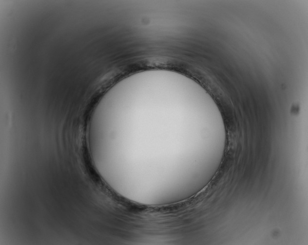 X0000103440648200809121102