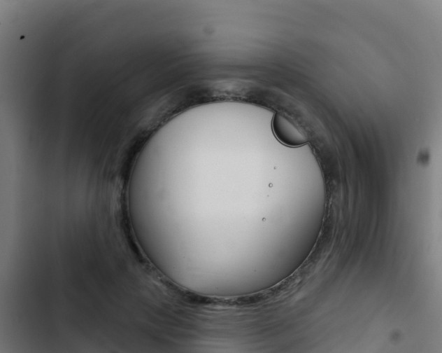 X0000103440649200809121102