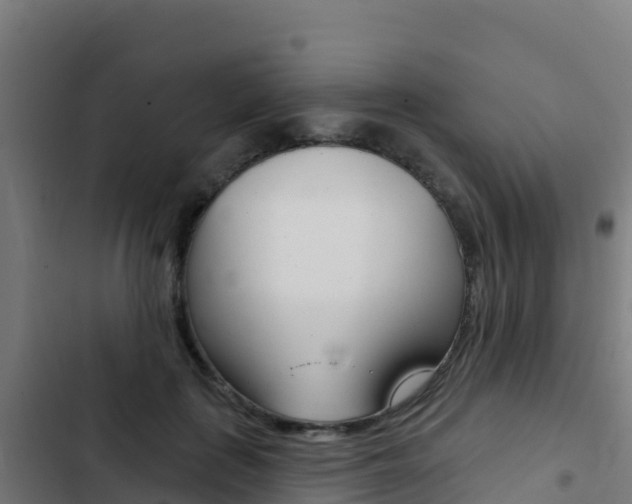 X0000103440651200809121102