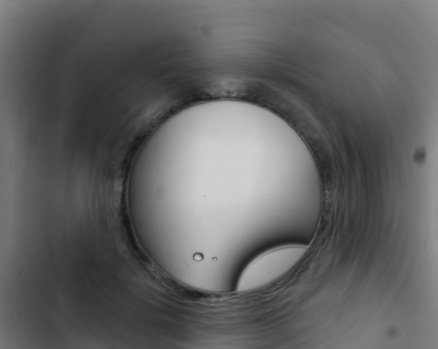 X0000103440652200809121102
