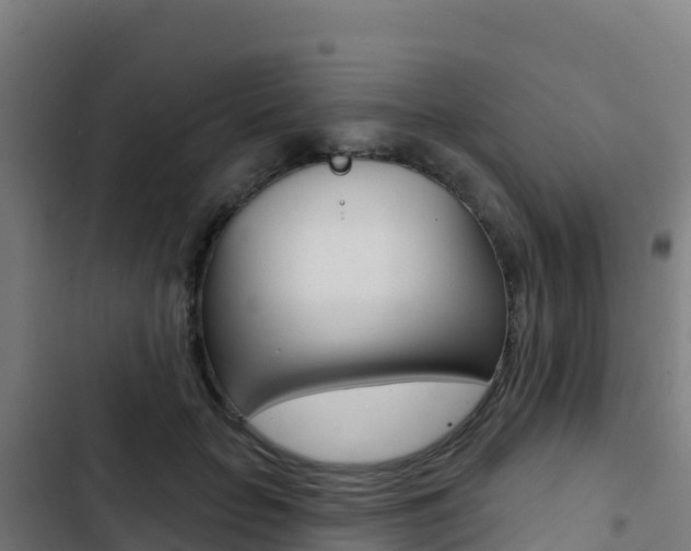 X0000103440653200809121102