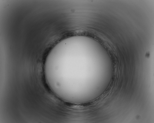 X0000103440654200809121102