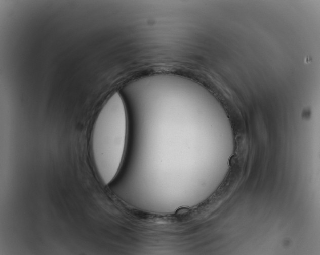 X0000103440655200809121102