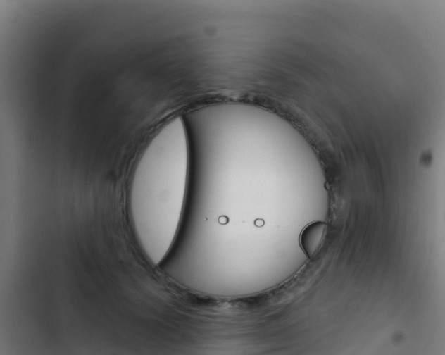 X0000103440656200809121102