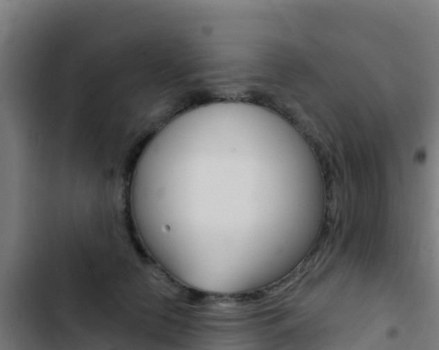 X0000103440658200809121102