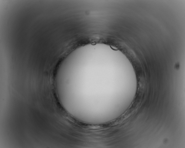 X0000103440659200809121102
