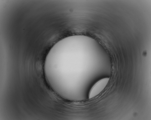 X0000103440662200809121102