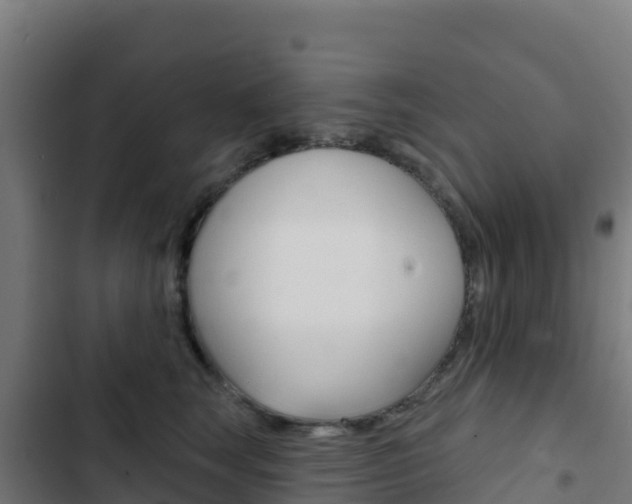 X0000103440663200809121102