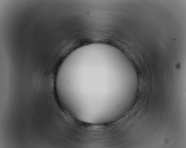X0000103440664200809121102