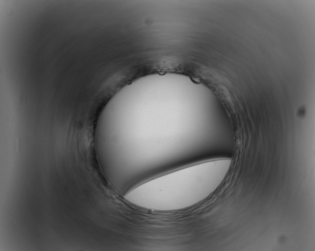 X0000103440665200809121102