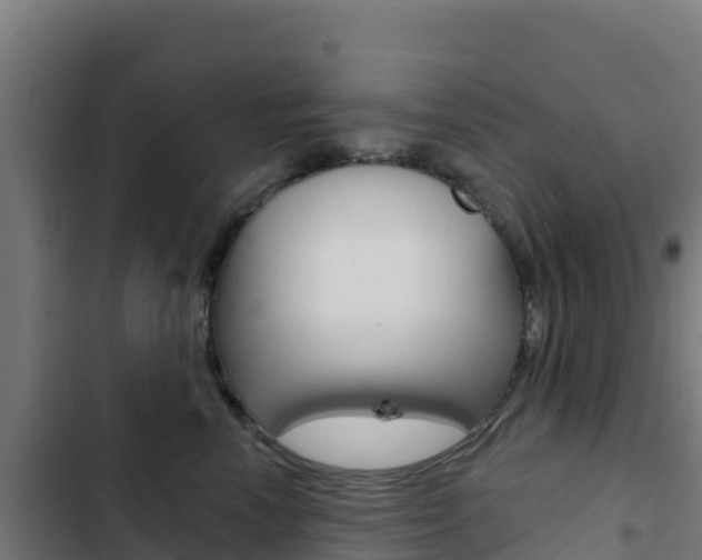 X0000103440666200809121102