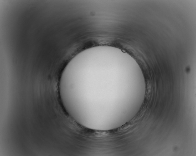 X0000103440667200809121102