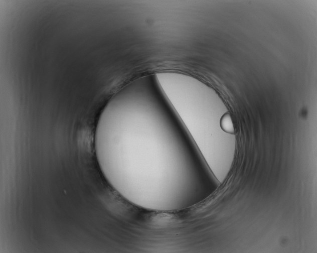 X0000103440669200809121102