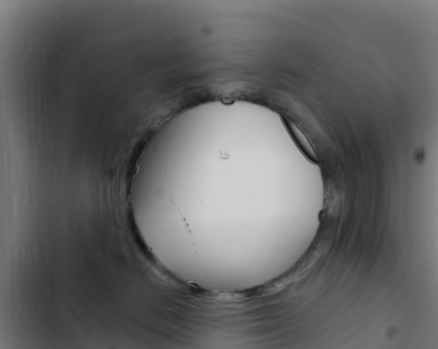 X0000103440670200809121102