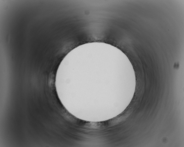 X0000103440672200809121103