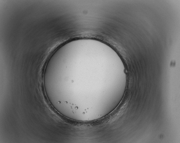 X0000103440673200809121102