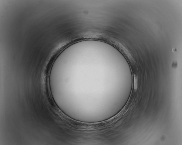 X0000103440675200809121102
