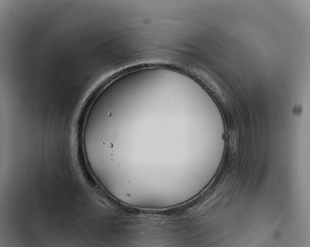 X0000103440676200809121102