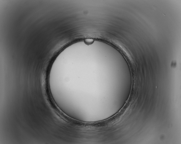X0000103440677200809121102