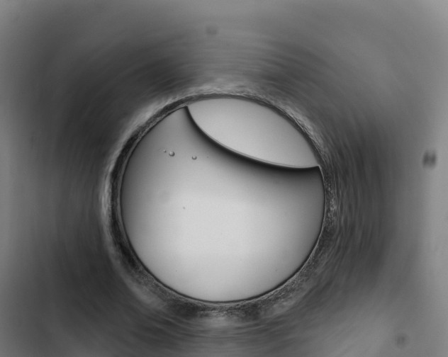 X0000103440678200809121102