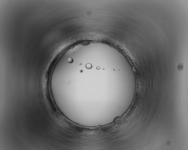 X0000103440679200809121102