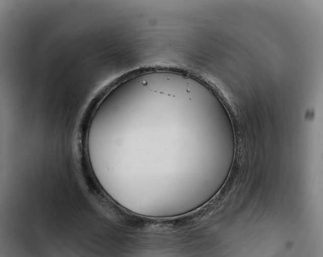 X0000103440680200809121102