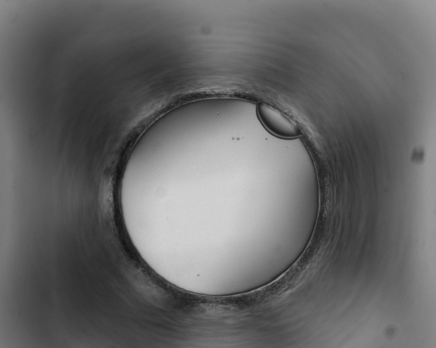 X0000103440681200809121102