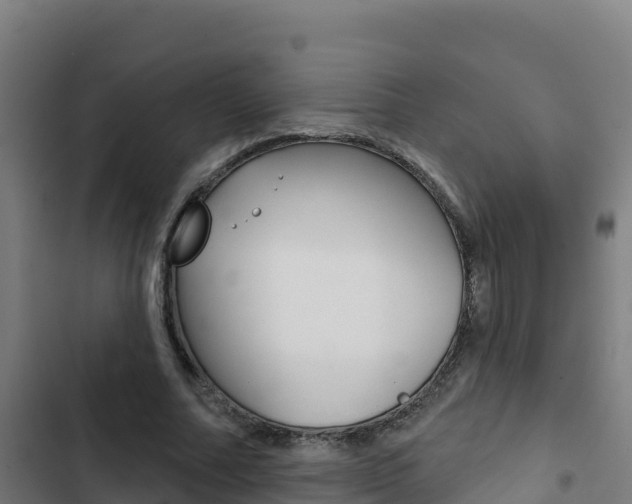 X0000103440682200809121102