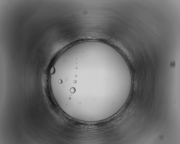 X0000103440683200809121102