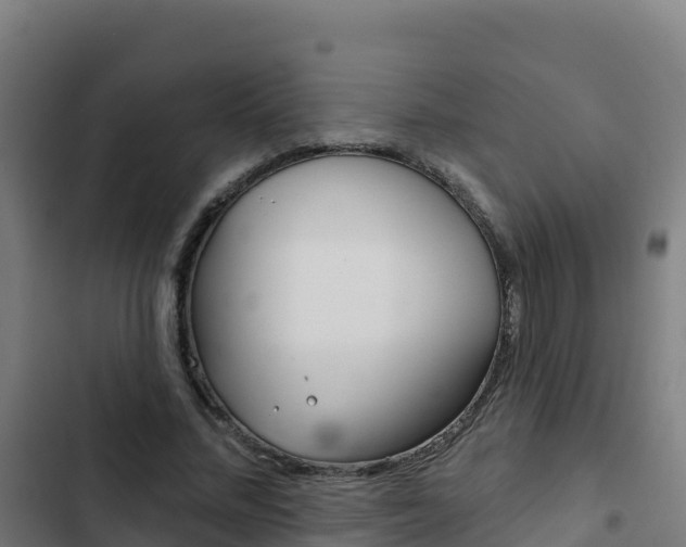 X0000103440684200809121102