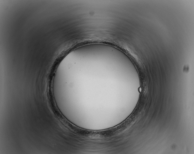 X0000103440685200809121102