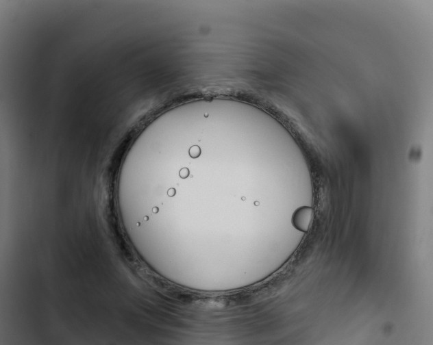X0000103440687200809121102