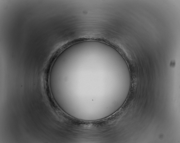 X0000103440688200809121101