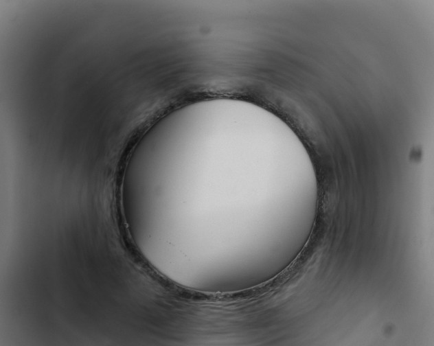 X0000103440689200809121101