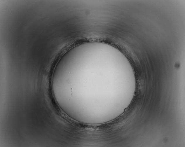 X0000103440690200809121101