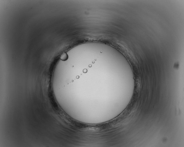 X0000103440691200809121101