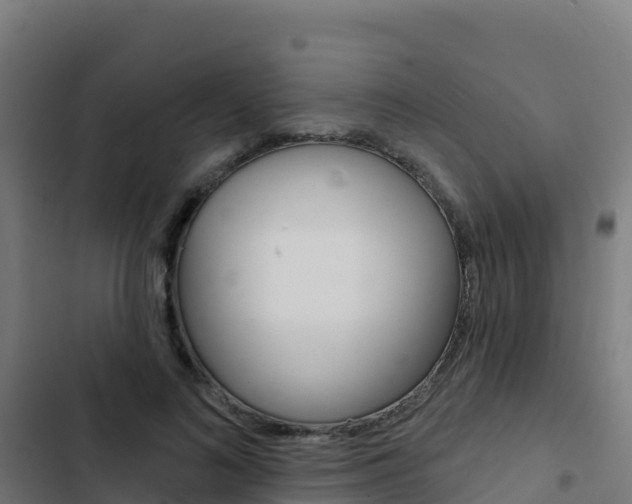 X0000103440692200809121101