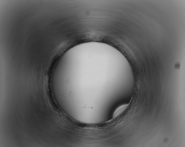 X0000103440693200809121101