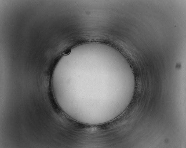 X0000103440695200809121101