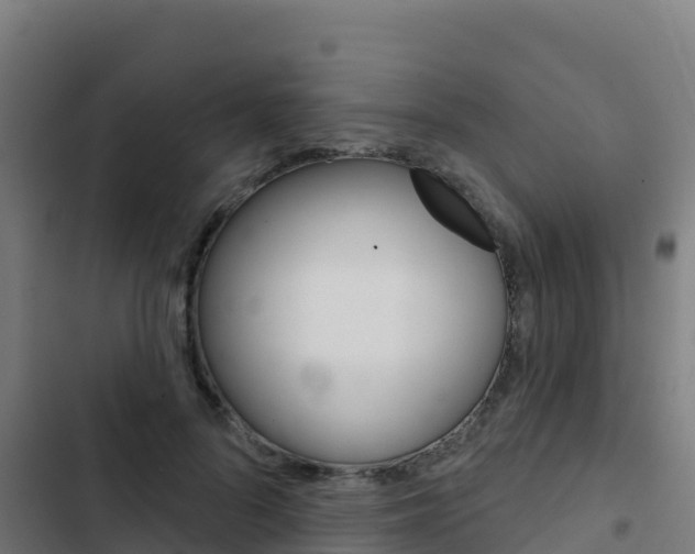X0000103440696200809121101